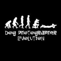 maglietta evolution